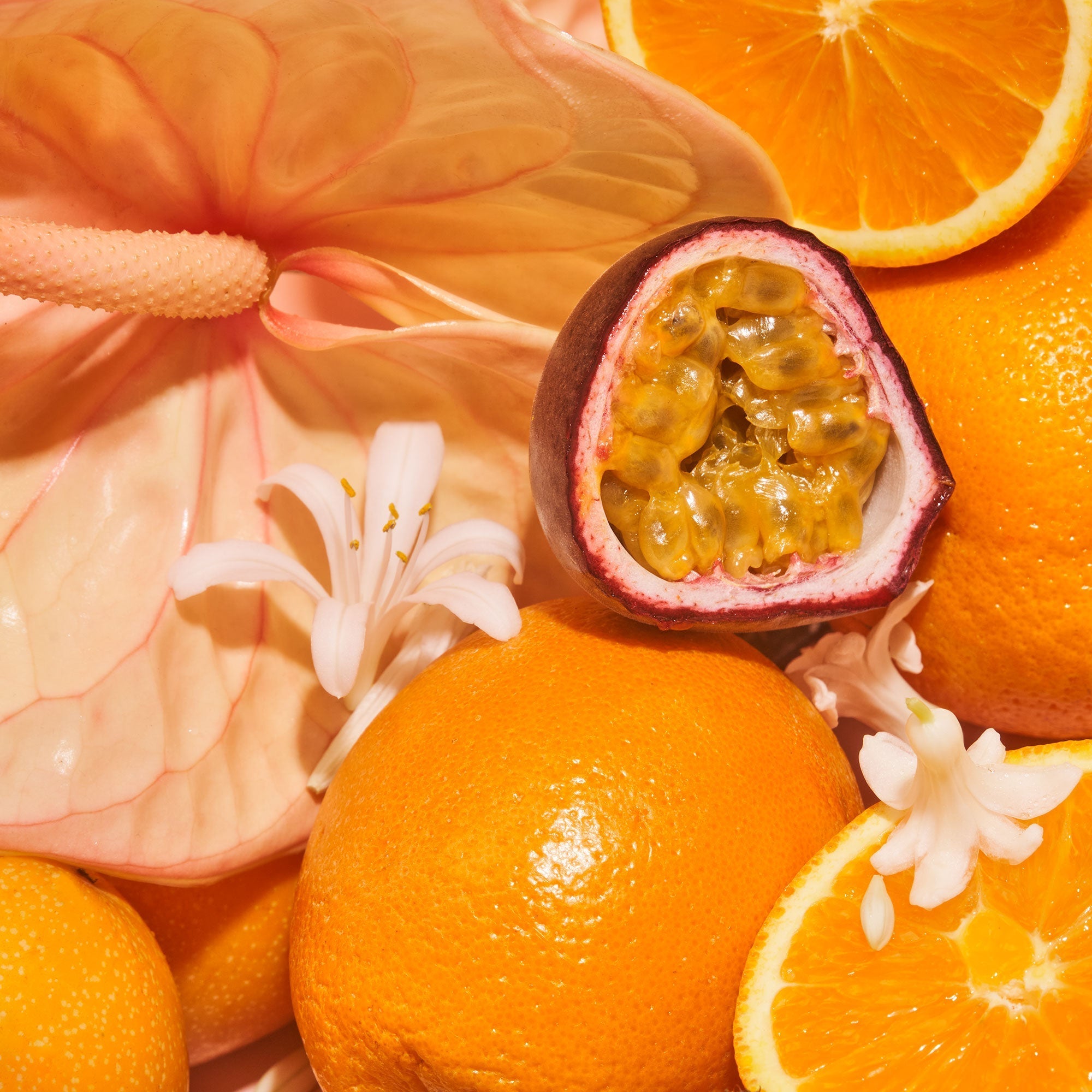 Exotic Pulp - Body Oil