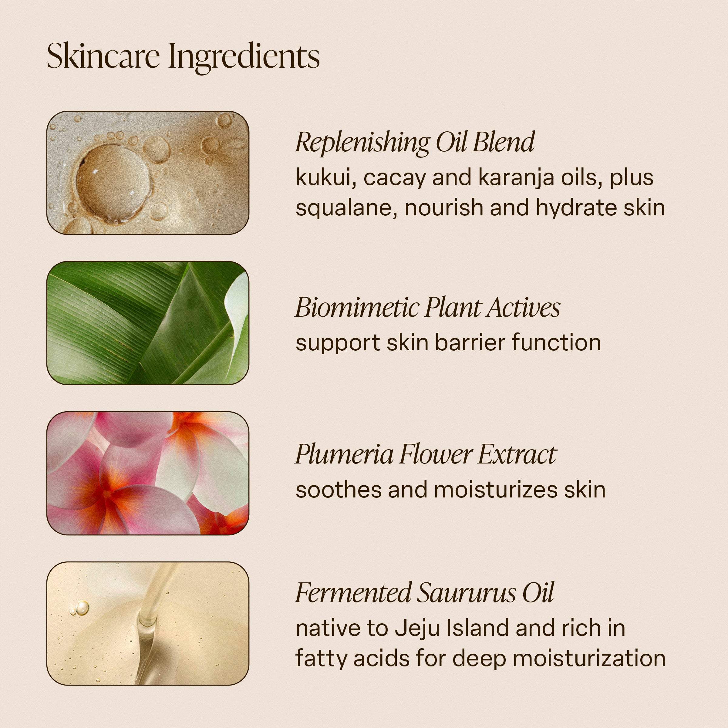Exotic Pulp - Body Oil