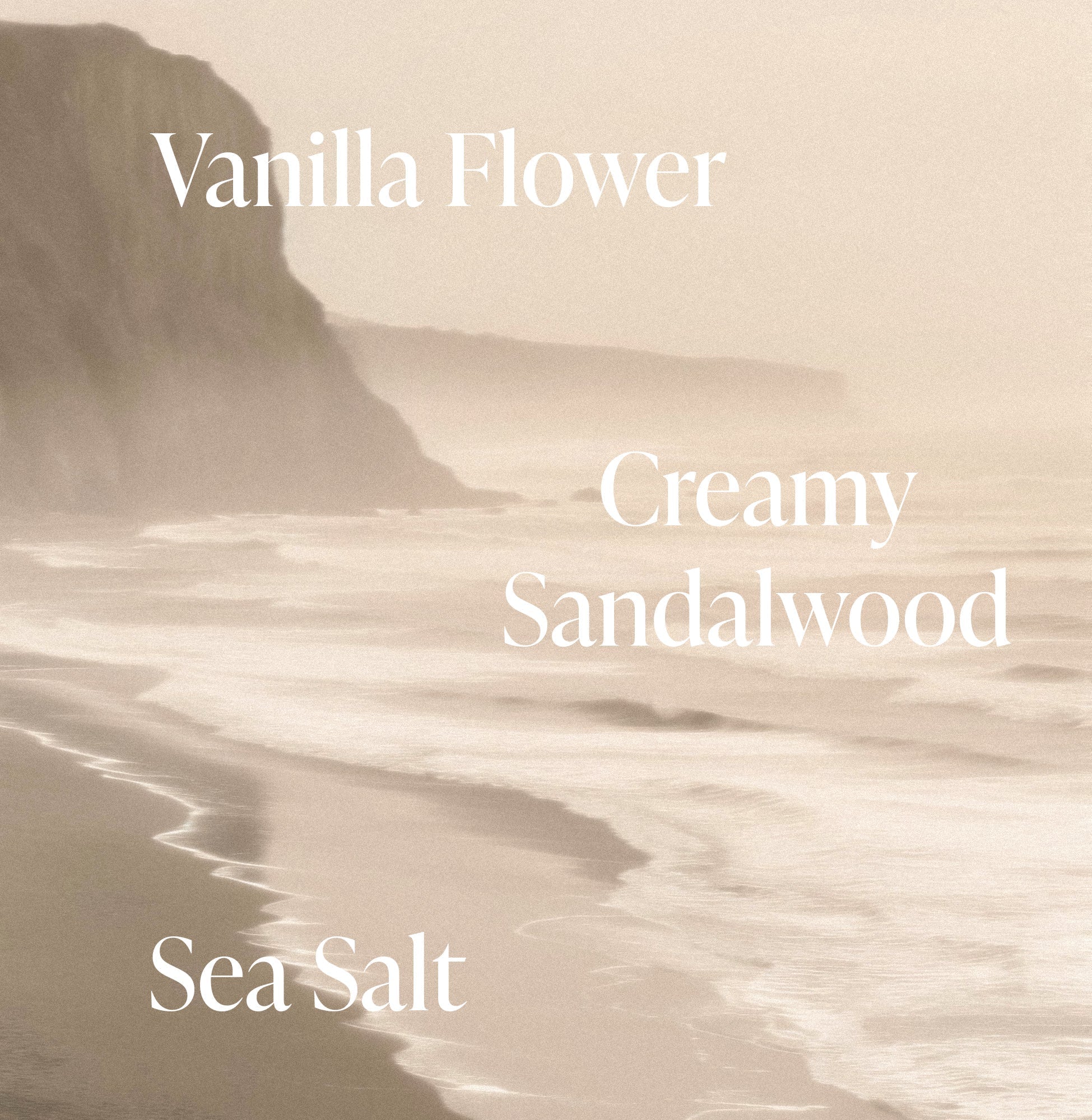 Salt Water Vanilla - Body Lotion