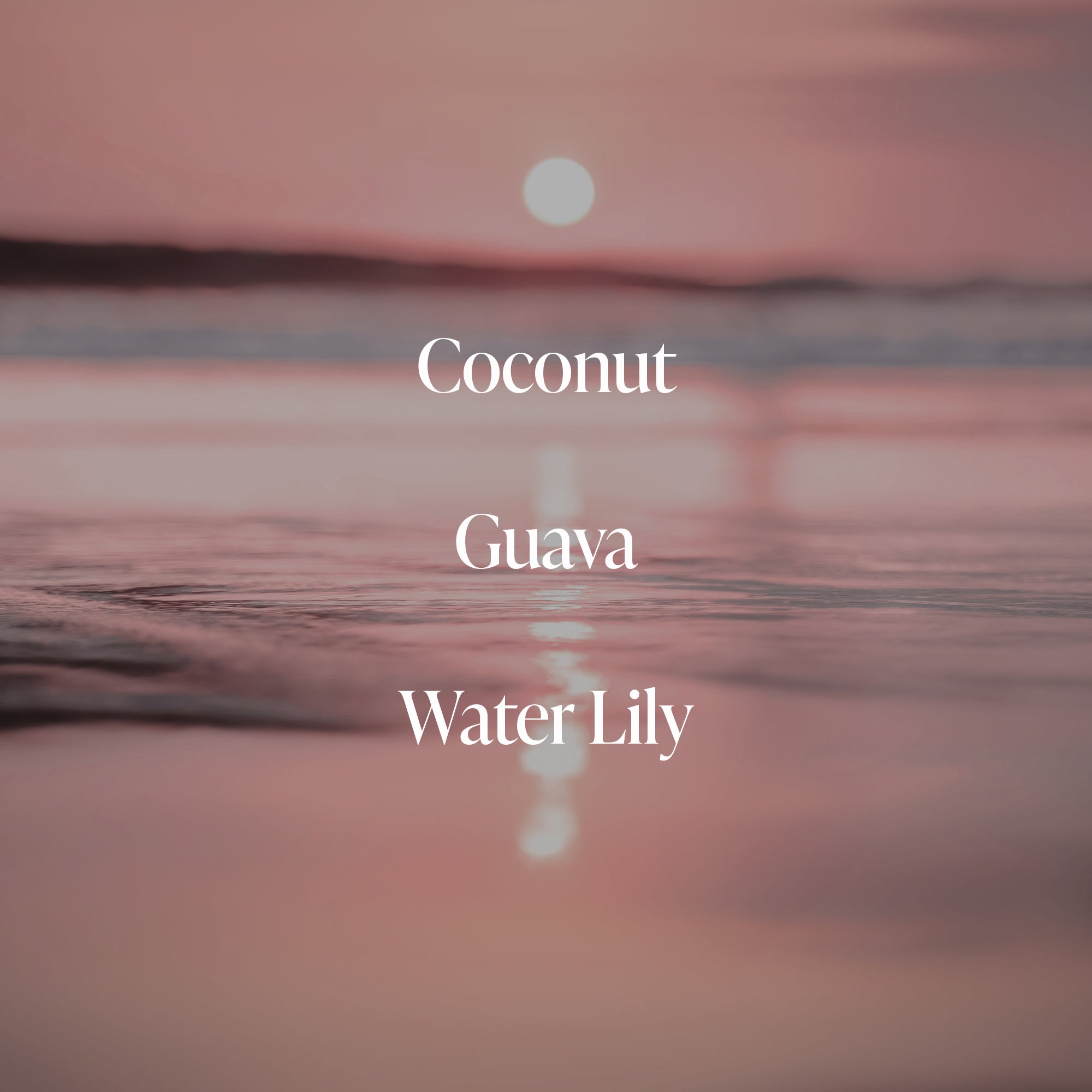 Coral Coast - Body Butter