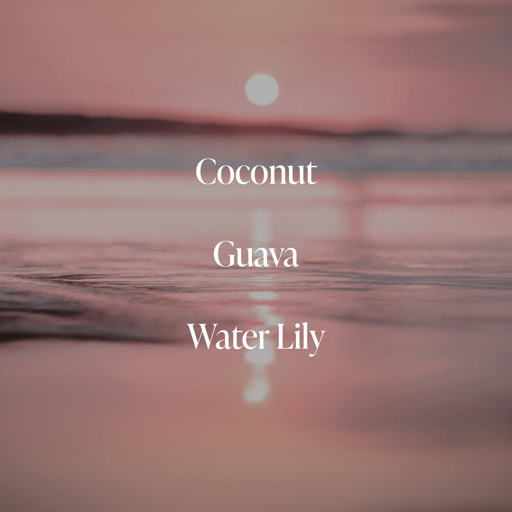 Coral Coast - Body Butter 2pck